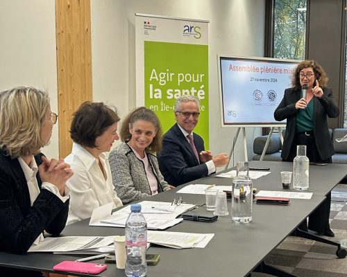 Photo de la plénière 1